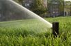 Immagine di RAINBIRD 5004 Plus-FC IRRIGATORE