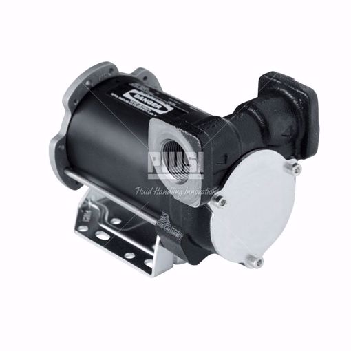 Immagine di PIUSI BP 3000 12V 3/4 BSP IN-LINE