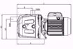 Immagine di FORAS JA106NT V.380 ELETTROPOMPA AUTOADESCANTE