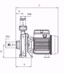 Immagine di FORAS KM50/1M V.220 ELETTROPOMPA CENTRIFUGA