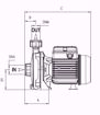 Immagine di FORAS KM106/1M V.220 ELETTROPOMPA CENTRIFUGA