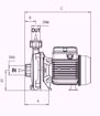 Immagine di FORAS KM164/1T V.380 ELETTROPOMPA CENTRIFUGA