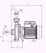 Immagine di FORAS KM214/1T V.380 ELETTROPOMPA CENTRIFUGA