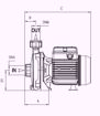 Immagine di FORAS KM550T V.380 ELETTROPOMPA CENTRIFUGA