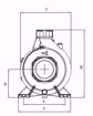 Immagine di FORAS SE160T V.380 ELETTROPOMPA CENTRIFUGA