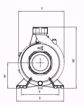 Immagine di FORAS SE210T V.380 ELETTROPOMPA CENTRIFUGA