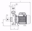 Immagine di FORAS RA80/1M V.220 ELETTROPOMPA CENTRIFUGA