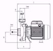 Immagine di FORAS RA80/1T V.380 ELETTROPOMPA CENTRIFUGA