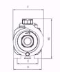 Immagine di FORAS RA80/1T V.380 ELETTROPOMPA CENTRIFUGA