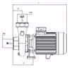 Immagine di FORAS SD100/2M V.220 ELETTROPOMPA CENTRIFUGA