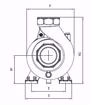 Immagine di FORAS SD100/2M V.220 ELETTROPOMPA CENTRIFUGA