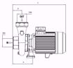 Immagine di FORAS SD150/2M V.220 ELETTROPOMPA CENTRIFUGA