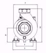 Immagine di FORAS SD150/2M V.220 ELETTROPOMPA CENTRIFUGA