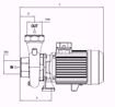 Immagine di FORAS SD150/2T V.380 ELETTROPOMPA CENTRIFUGA