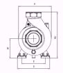 Immagine di FORAS SD150/2T V.380 ELETTROPOMPA CENTRIFUGA