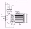 Immagine di FORAS SD200/2T V.380 ELETTROPOMPA CENTRIFUGA