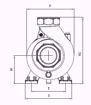 Immagine di FORAS SD200/2T V.380 ELETTROPOMPA CENTRIFUGA