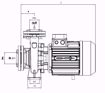 Immagine di FORAS MN32-200B V.380 ELETTROPOMPA CENTRIFUGA NORMALIZZATA