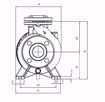 Immagine di FORAS MN32-200B V.380 ELETTROPOMPA CENTRIFUGA NORMALIZZATA