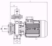 Immagine di FORAS MN32-200A V.380 ELETTROPOMPA CENTRIFUGA NORMALIZZATA