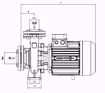 Immagine di FORAS MN32-250C V.380 ELETTROPOMPA CENTRIFUGA NORMALIZZATA