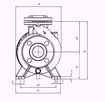 Immagine di FORAS MN32-250C V.380 ELETTROPOMPA CENTRIFUGA NORMALIZZATA