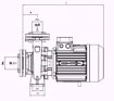 Immagine di FORAS MN32-250B V.380 ELETTROPOMPA CENTRIFUGA NORMALIZZATA