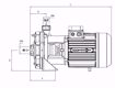 Immagine di FORAS KB100/1M V.220 ELETTROPOMPA CENTRIFUGA