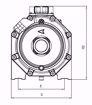 Immagine di FORAS KB100/1M V.220 ELETTROPOMPA CENTRIFUGA