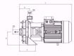 Immagine di FORAS KB100/1T V.380 ELETTROPOMPA CENTRIFUGA