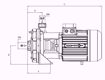 Immagine di FORAS KB310/1 V.220 ELETTROPOMPA CENTRIFUGA