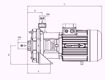 Immagine di FORAS KB310/1T V.380 ELETTROPOMPA CENTRIFUGA