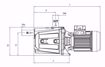 Immagine di FORAS JAM200 V.230 ELETTROPOMPA AUTOADESCANTE
