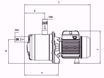 Immagine di FORAS JXF 106N/2 V.230 ELETTROPOMPA AUTOADESCANTE