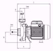 Immagine di FORAS RA100/1T V.380 ELETTROPOMPA CENTRIFUGA