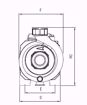 Immagine di FORAS RA100/1T V.380 ELETTROPOMPA CENTRIFUGA