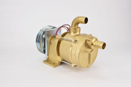 Immagine di TELLARINI IFE 30 - 12 POMPA CON FRIZIONE ELETTROMAGNETICA 12VCC